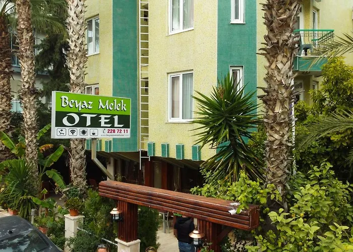 Beyaz Melek *